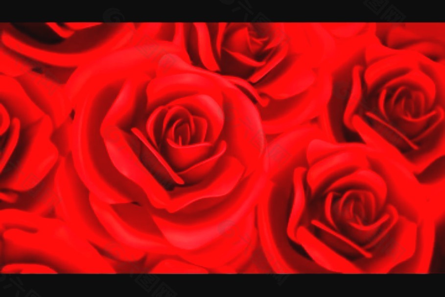 玫瑰花视频素材模板下载