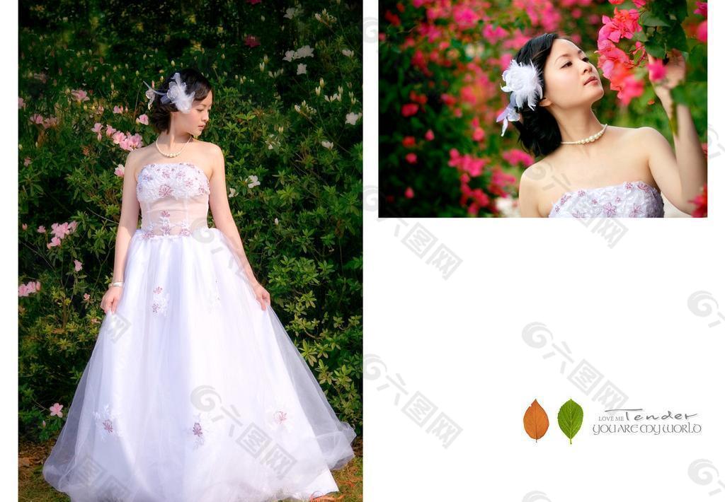 影楼婚纱数码设计模版图片