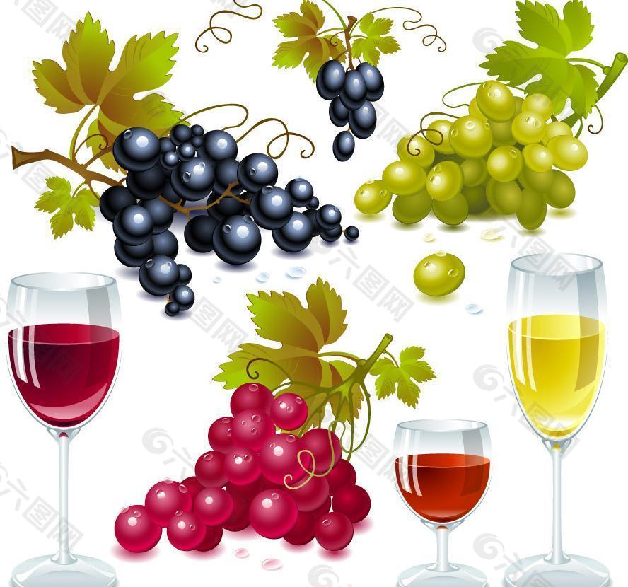 手绘葡萄葡萄酒图片