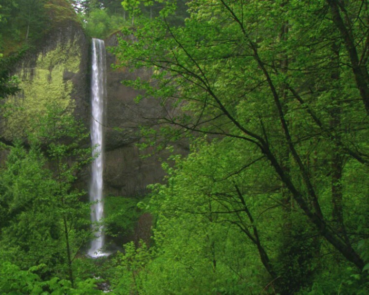 动态山水风景画视频