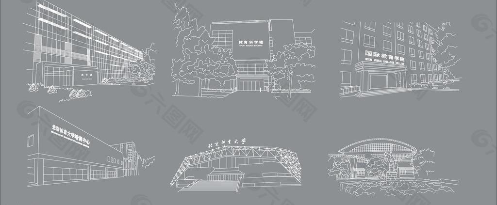 体育大学建筑勾线图片
