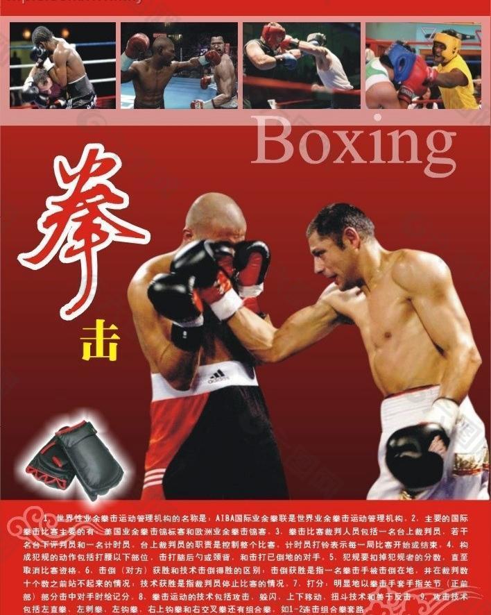 体育知识-拳击图片