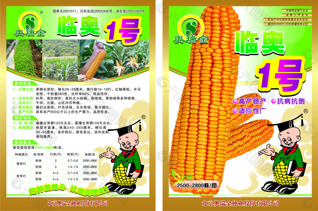 玉米种子dm单平面广告素材免费下载(图片编号:746302)