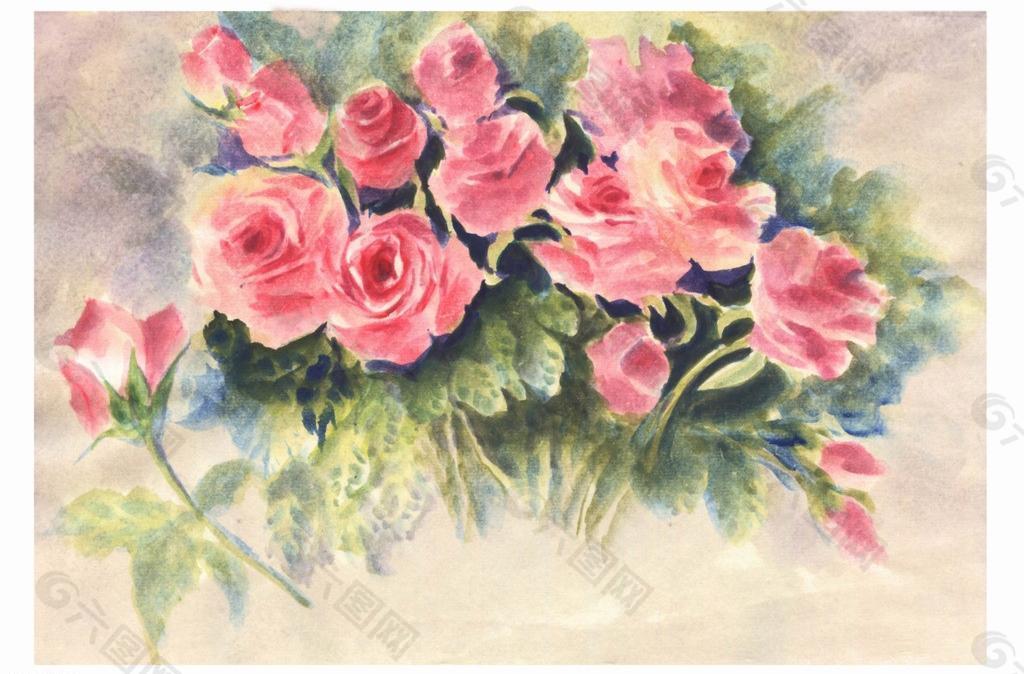 水彩画红玫瑰图片