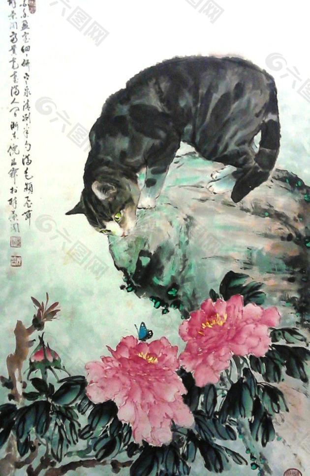 黑猫观花图片