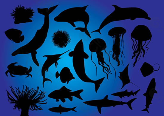 海洋生物鱼类剪影矢量图