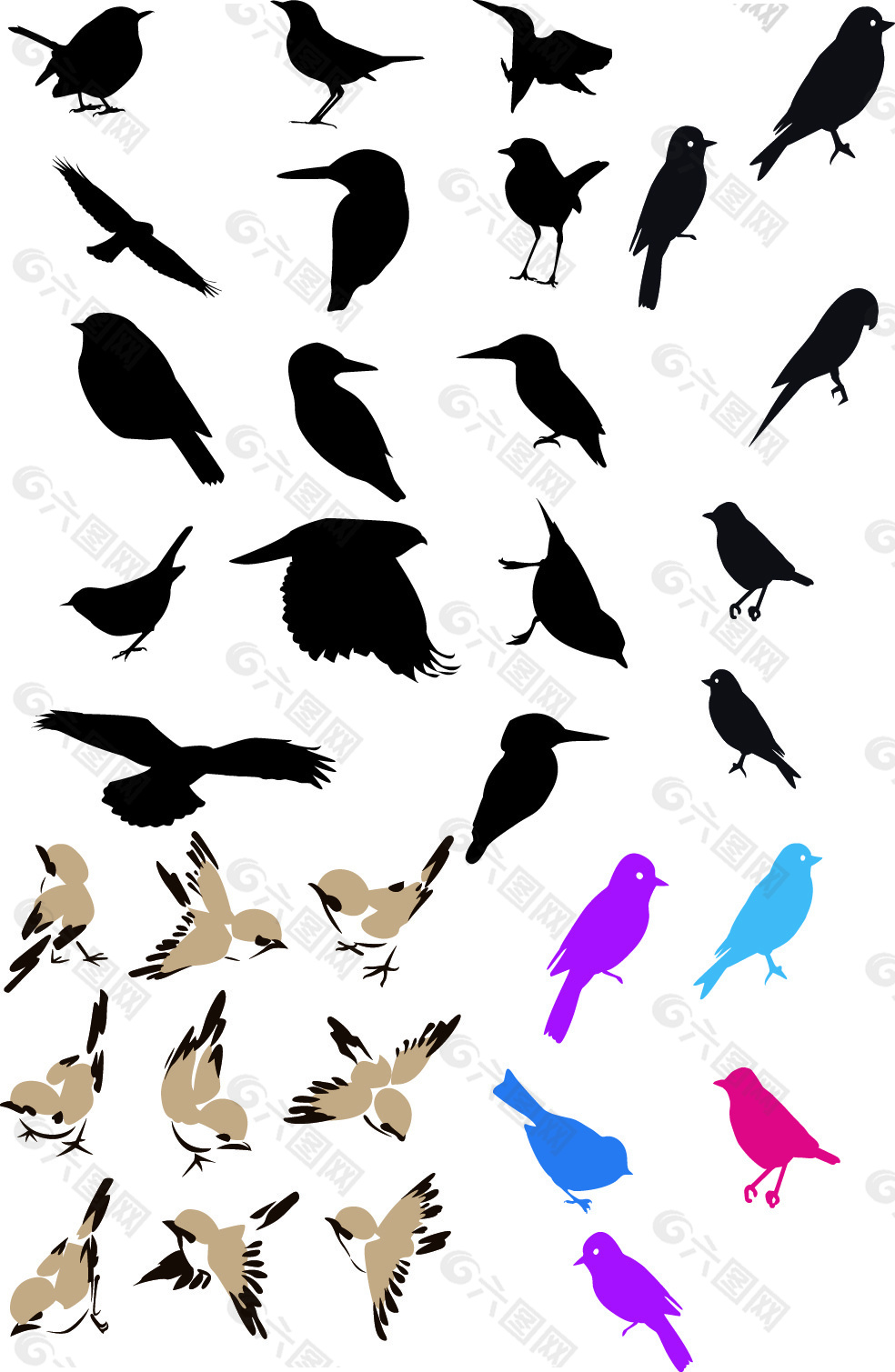 鸟的各种飞翔造型矢量图