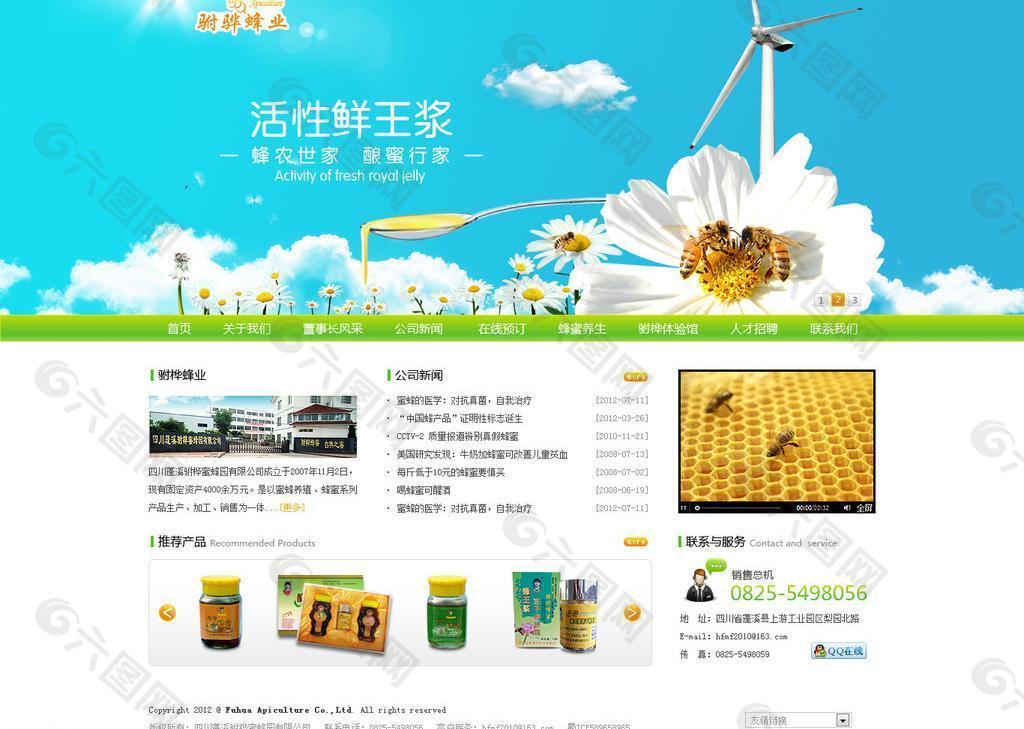 蜂蜜网站模板图片