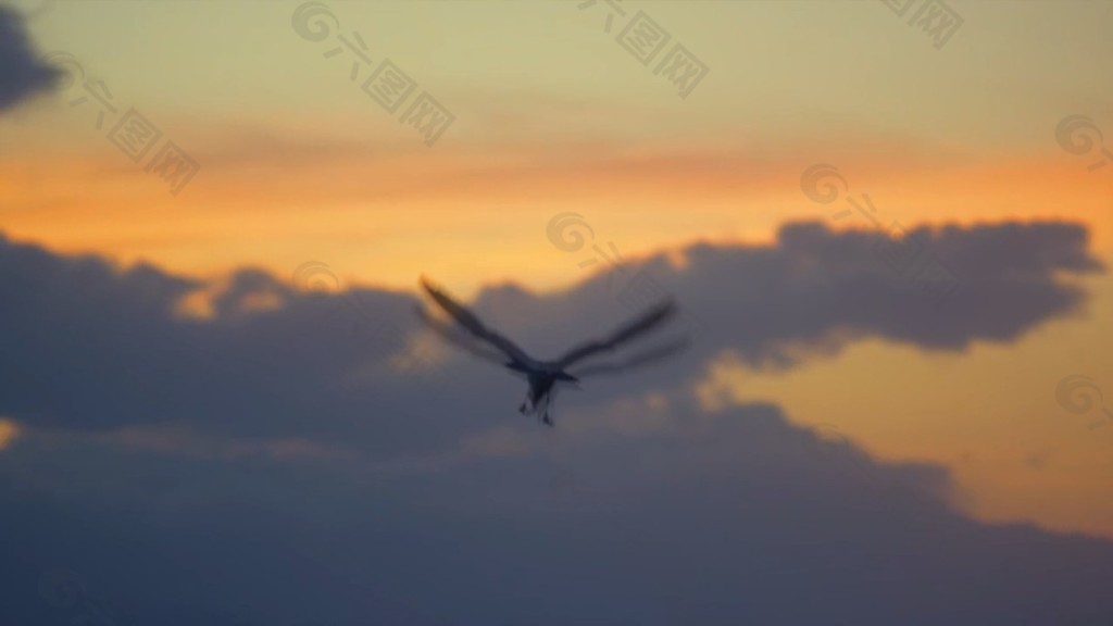 夕阳天空宣传片片头素材下载