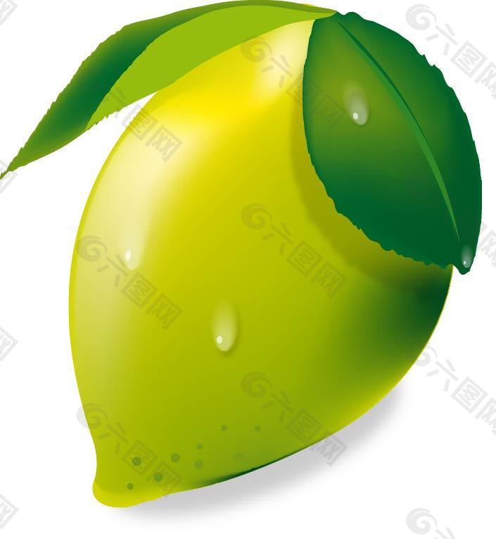 水果青柠檬