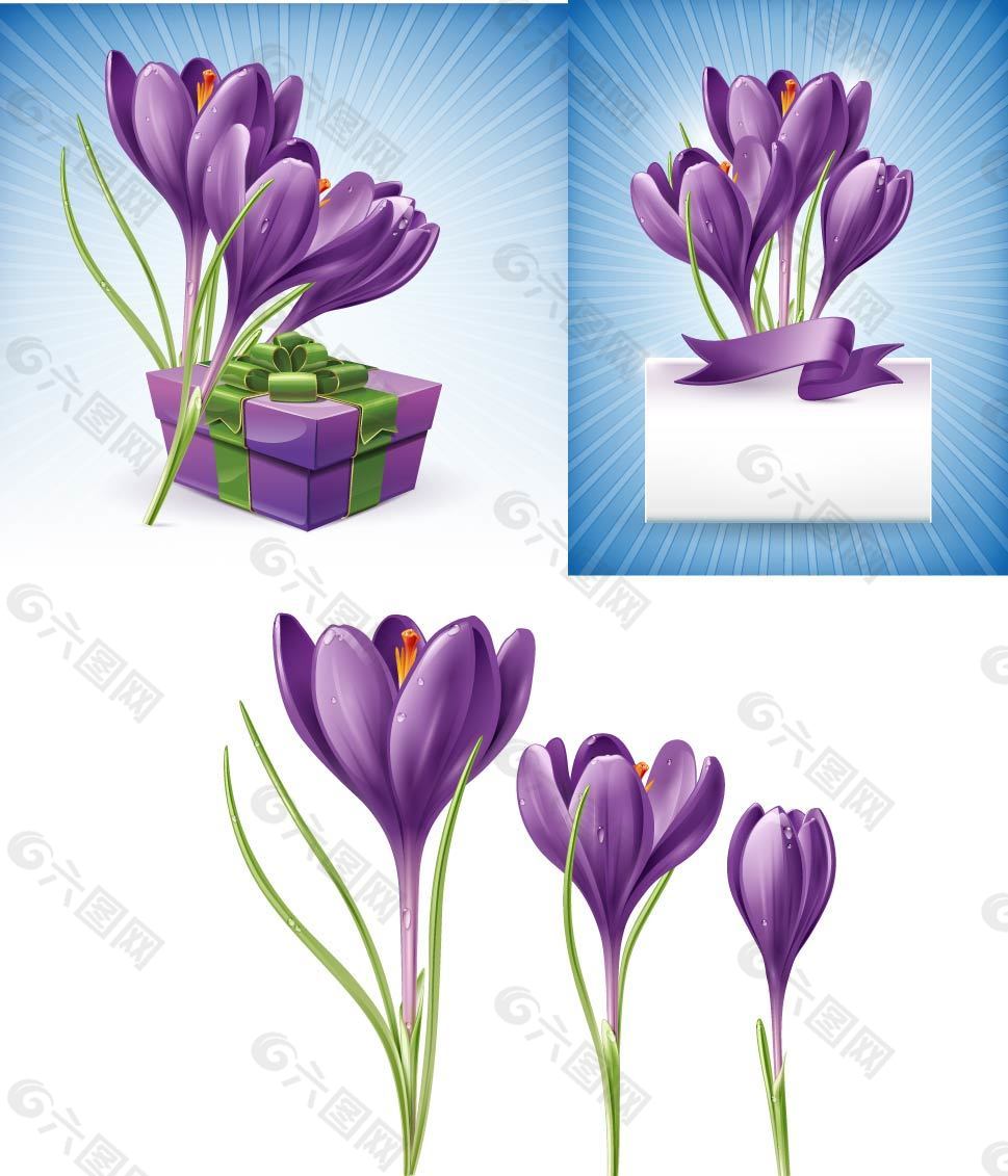 紫色水仙花平面广告素材免费下载 图片编号 六图网