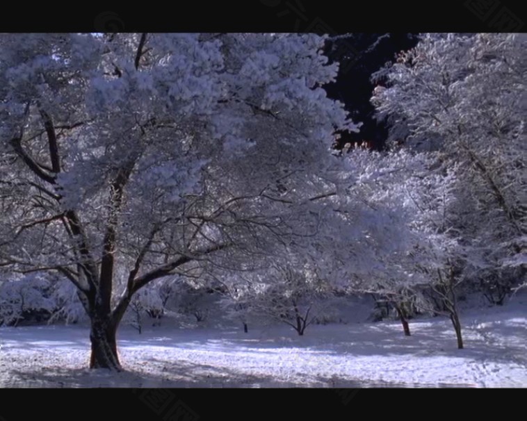 雪景视频素材