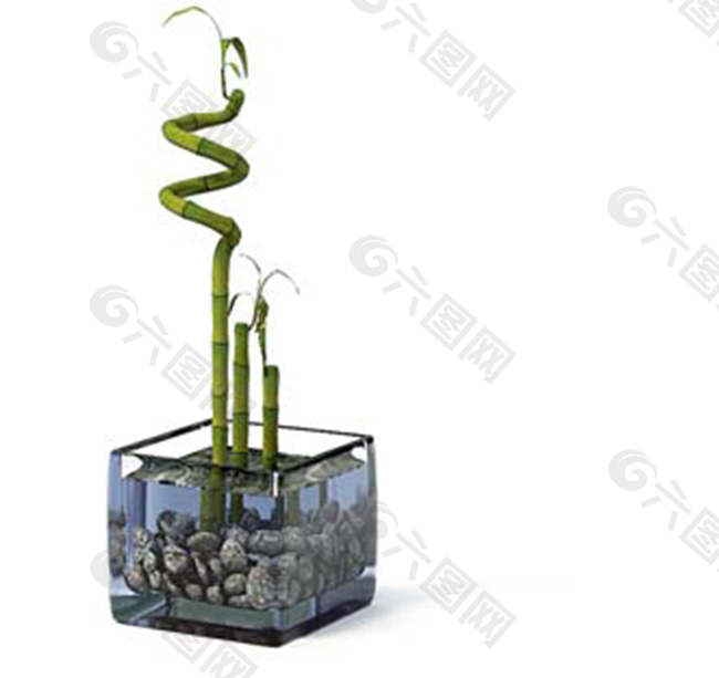 3D室内装饰绿色植物盆栽模型