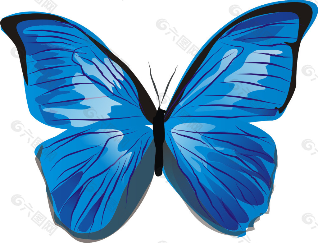 美丽蓝色蝴蝶设计元素素材免费下载 图片编号 六图网