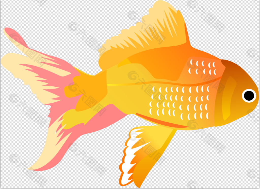 鲤鱼金鱼