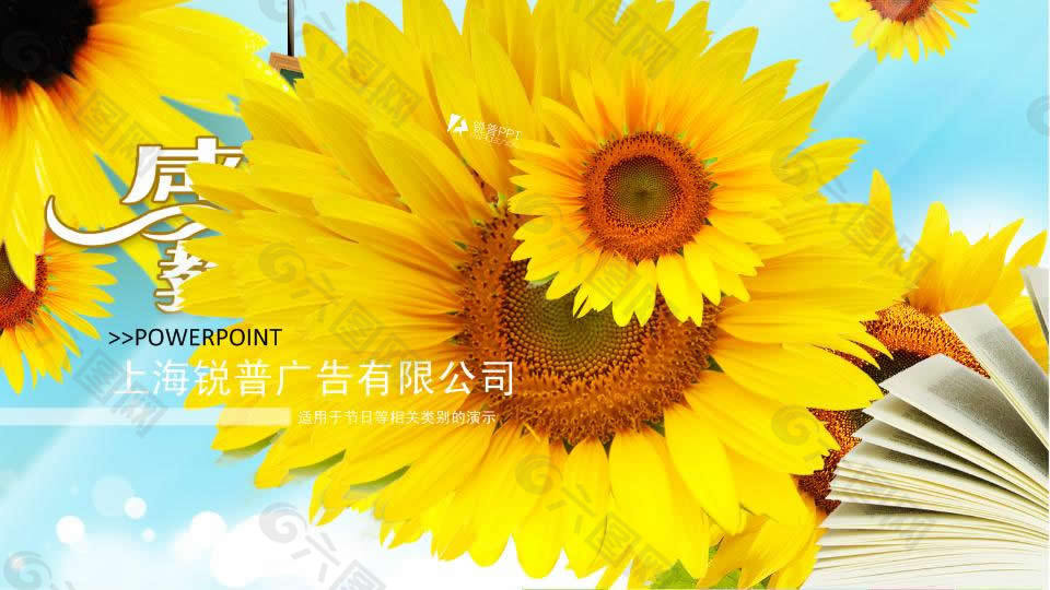 金黄葵花教师节PPT模板