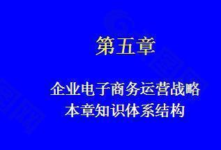 企业电子商务运营战略