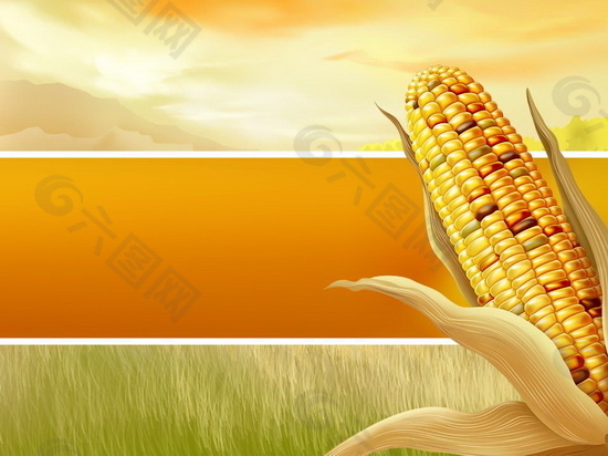 农田玉米PPT模板