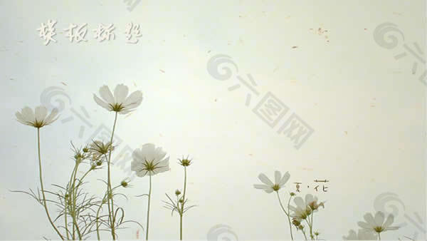 清新花朵背景模板下载