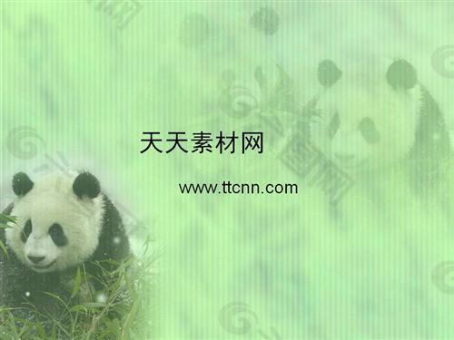 熊猫PPT模版