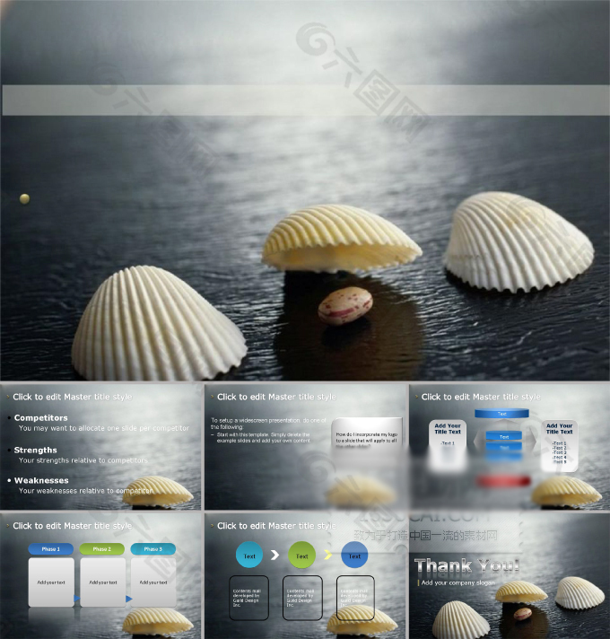 漂亮贝壳ppt模板