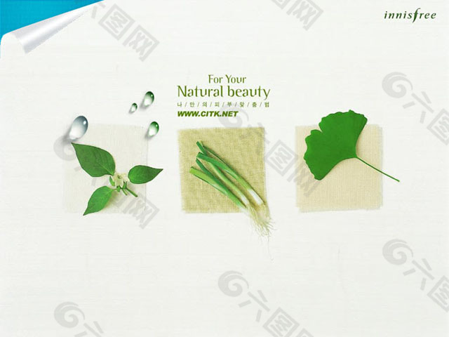 蔬菜植物背景的韩国ppt模板下载ppt模板素材免费下载 图片编号 六图网