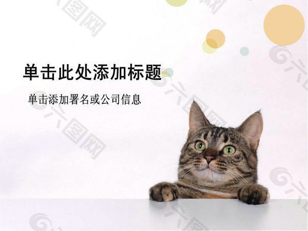 可爱小猫PPT模板