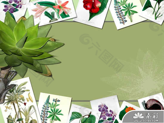 绿色花卉植物PPT模板