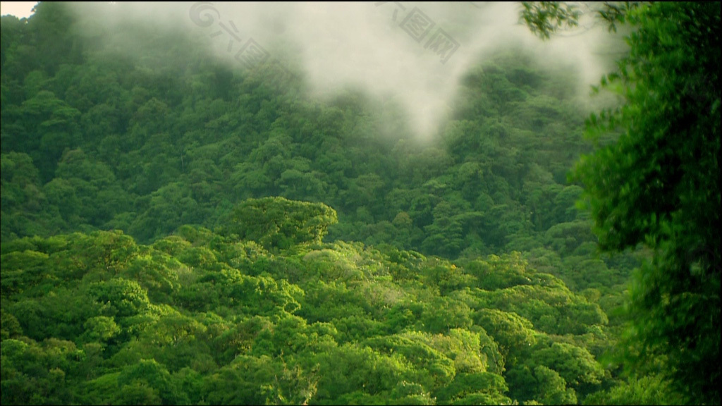 山间雾气