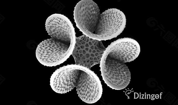 陈gackstatter塞耶的花瓶-数学艺术的“dizingof市普立得