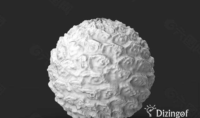 珊瑚灯罩-数学艺术的“dizingof