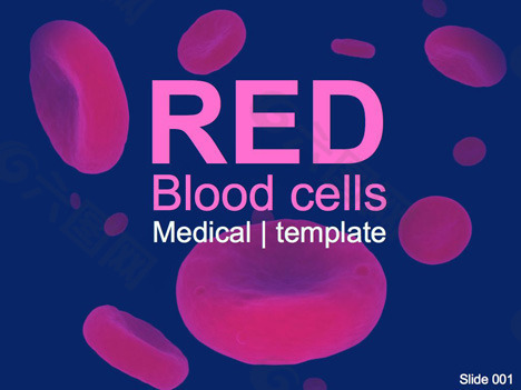 红血细胞的PPT模板