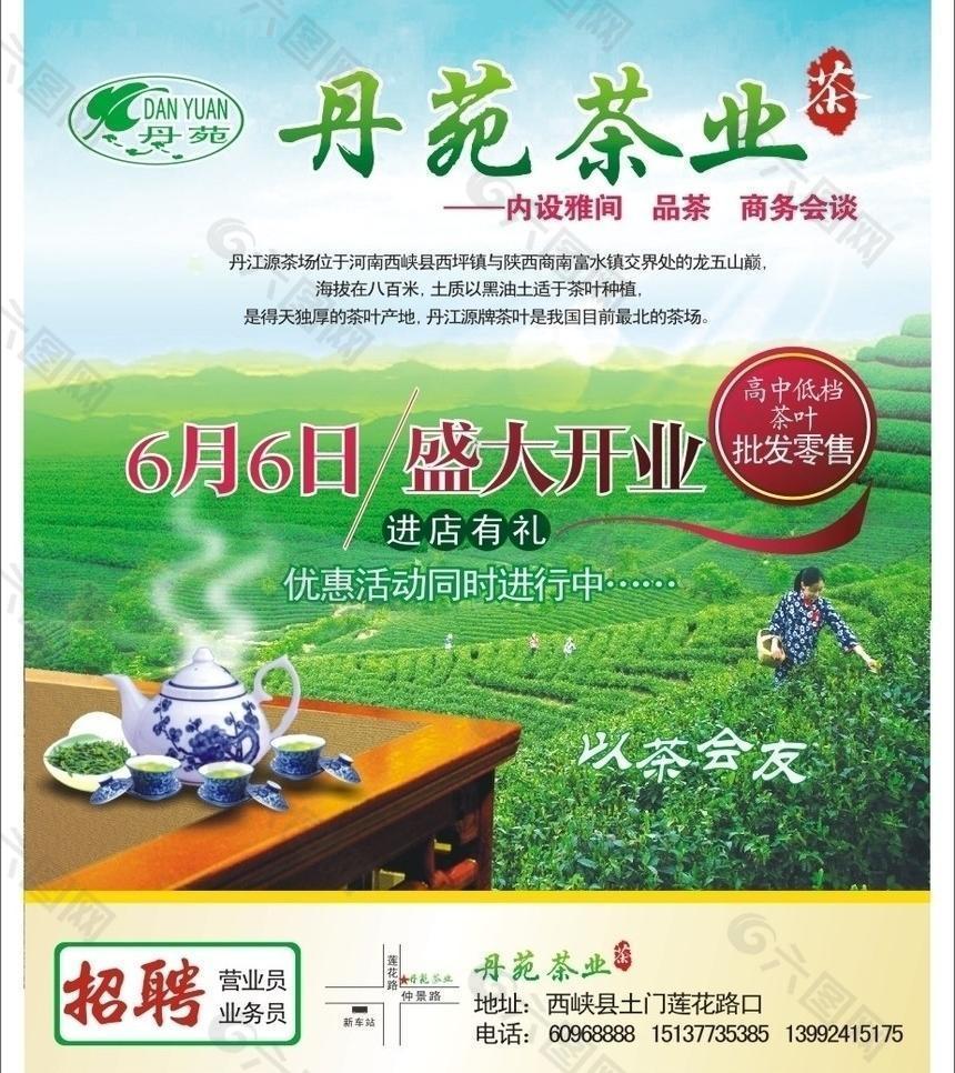 丹苑茶叶图片