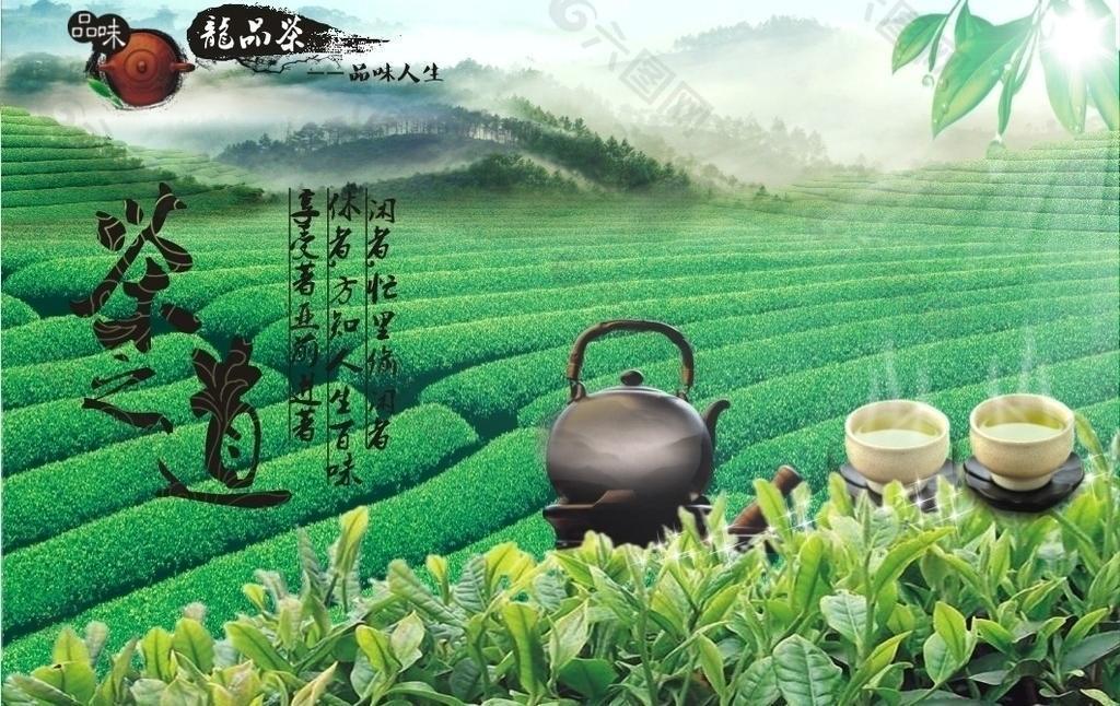 茶之道图片