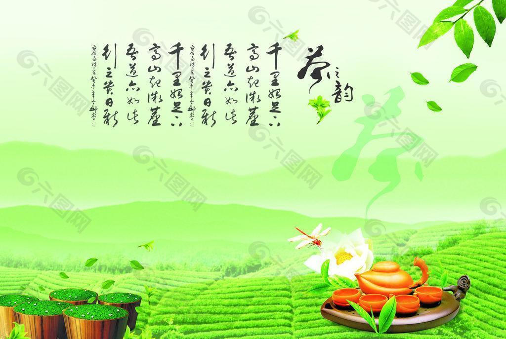茶 茶文化图片