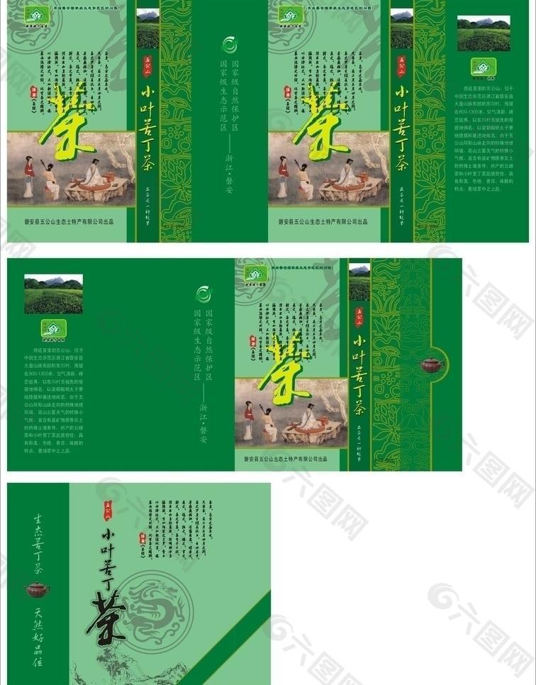 小叶苦丁茶图片