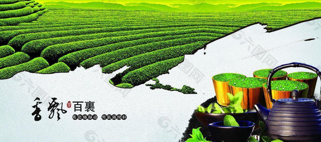 茶叶香飘百里图片