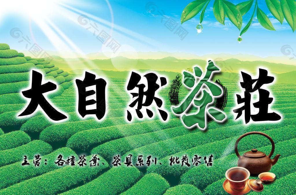 大自然茶庄图片