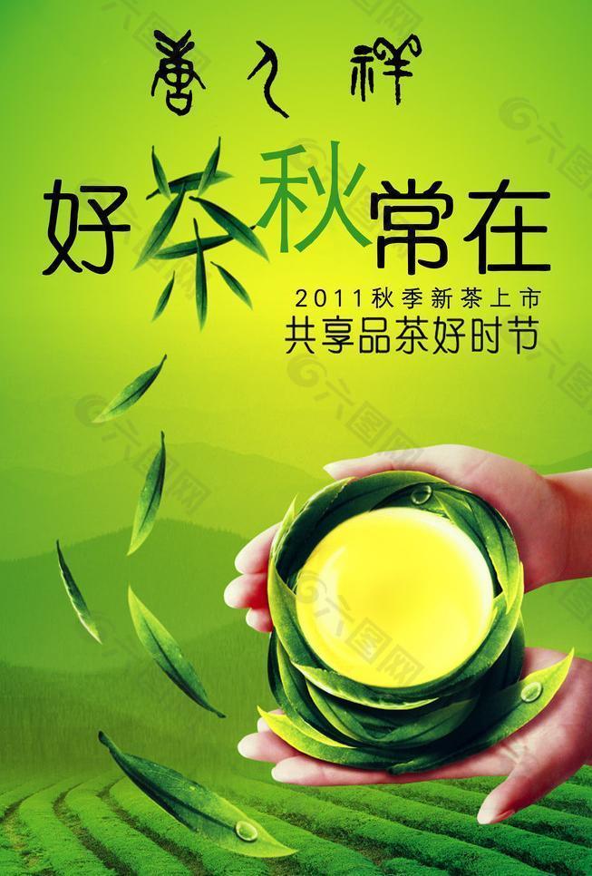 好茶秋常在图片
