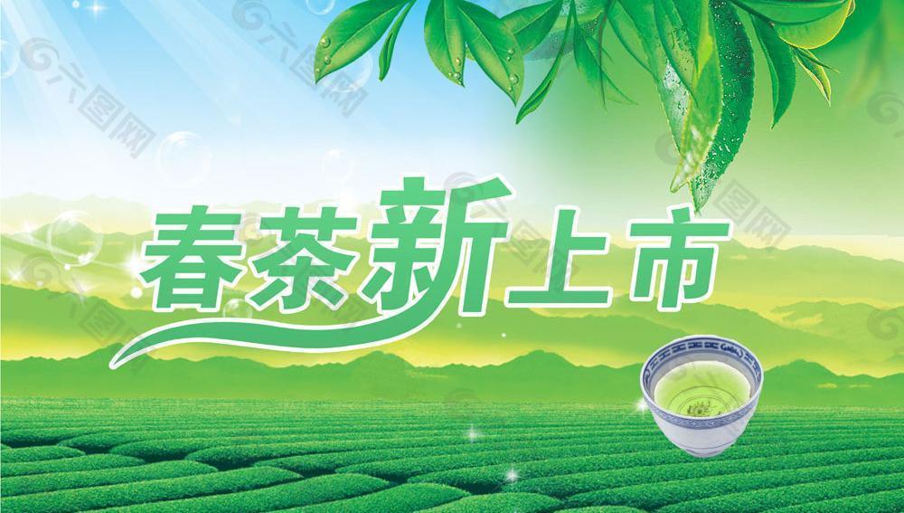 新茶上市图片