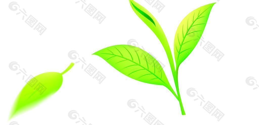 psd手绘鼠绘茶叶绿叶分层素材图片