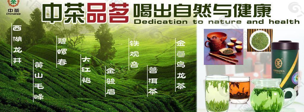 中茶品茗 自然与健康图片