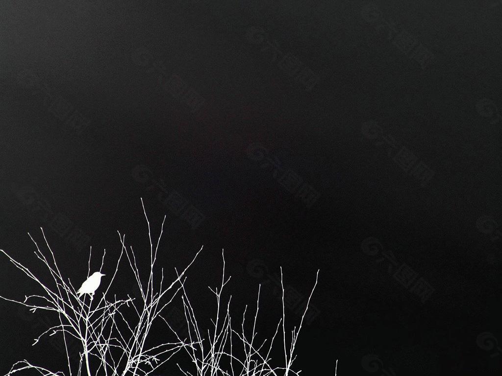 黑色背景 树枝小鸟 黑色纹路背景