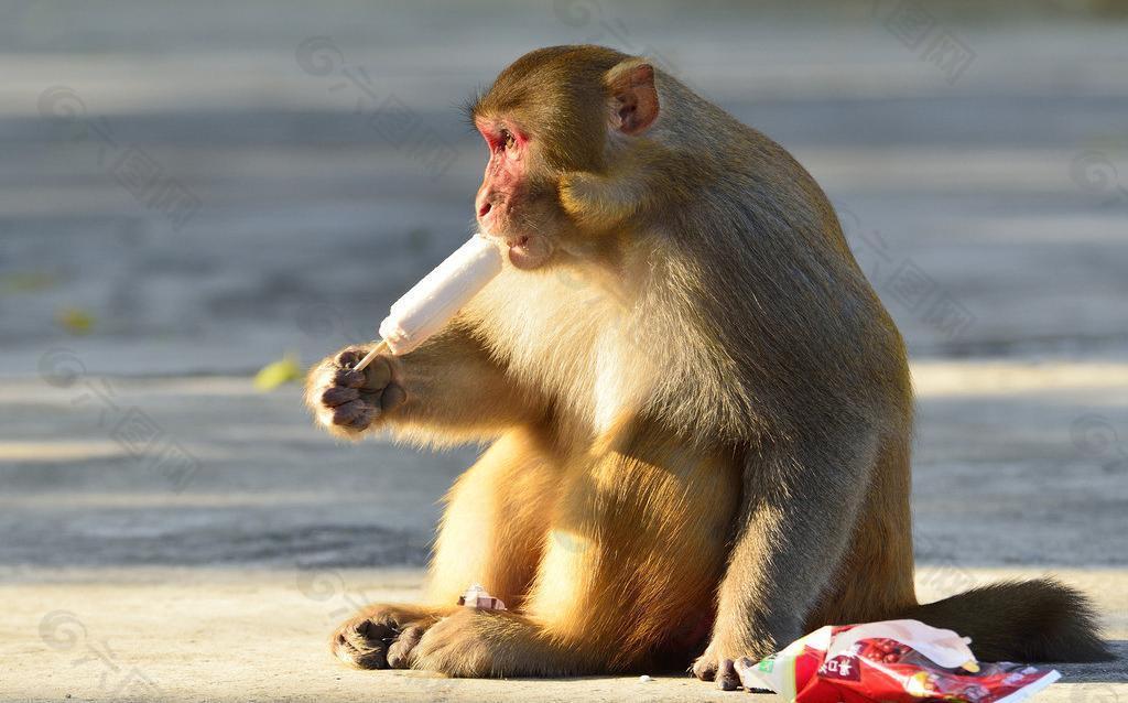 吃冰棍的美猴王图片