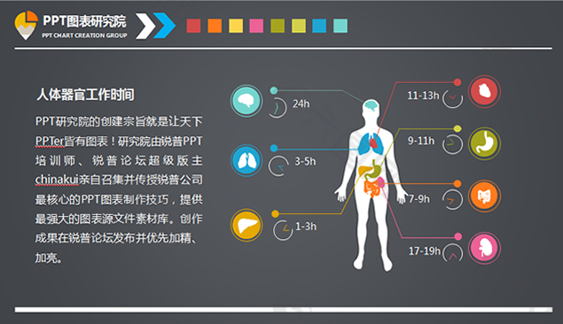 人体器官ppt图表