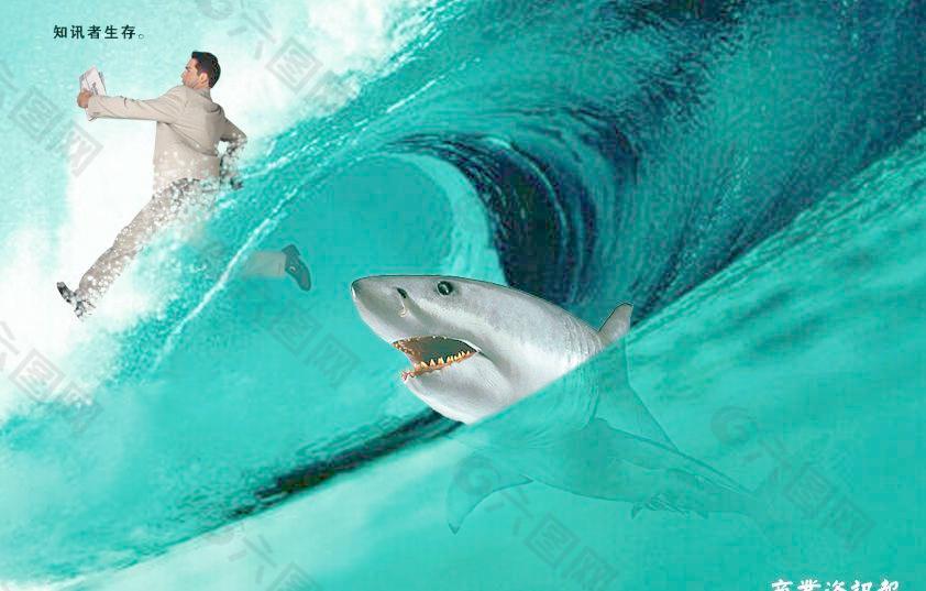 商业人士 鲨鱼 海水图片