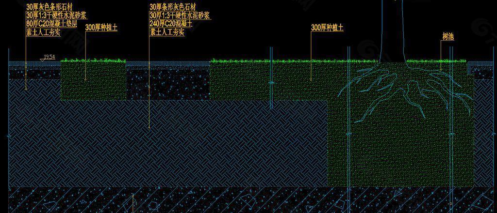 地面铺装间植草及树池剖面图片