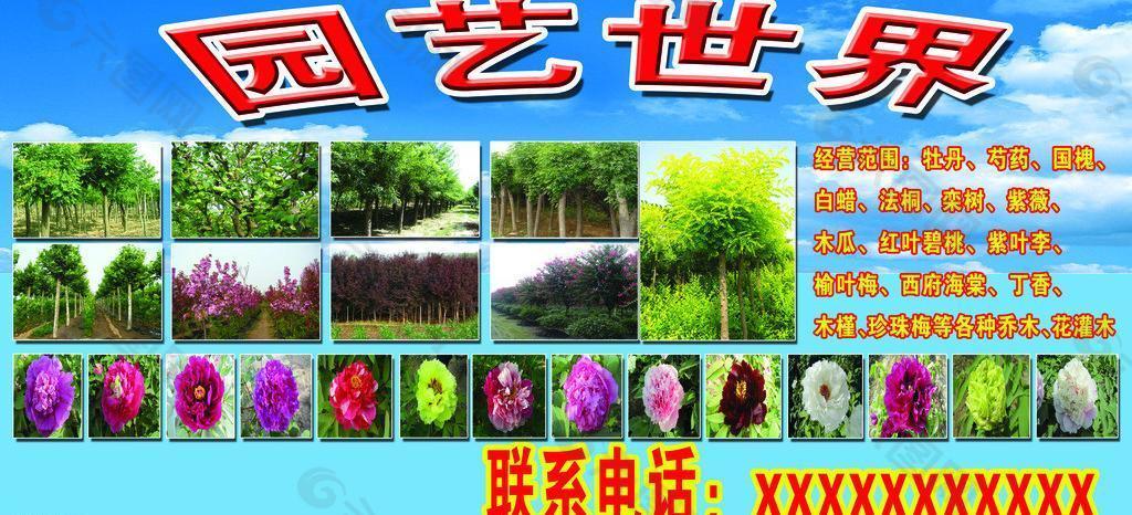 绿化苗木图片