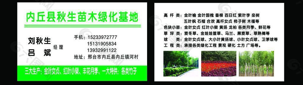 绿化 名片图片