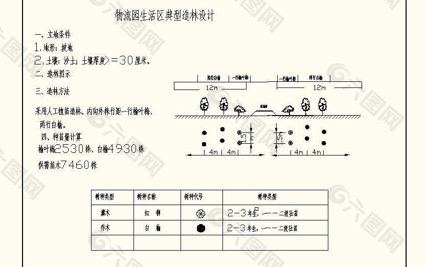 绿化典型造林模式图片